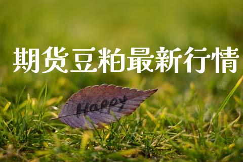 期货豆粕最新行情_https://www.lansai.wang_恒生指数_第1张