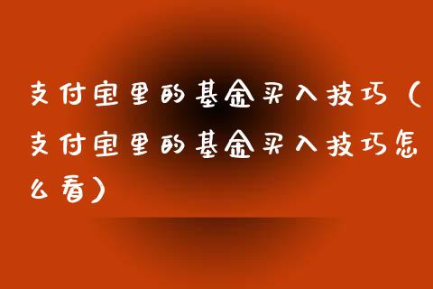 支付宝里的基金买入技巧（支付宝里的基金买入技巧怎么看）_https://www.lansai.wang_基金理财_第1张