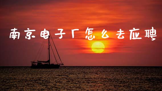 南京电子厂怎么去应聘_https://www.lansai.wang_期货品种_第1张