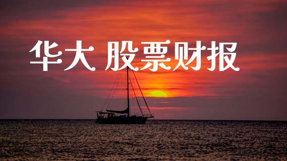 华大 股票财报_https://www.lansai.wang_期货资讯_第1张