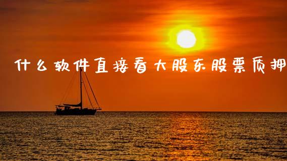 什么软件直接看大股东股票质押_https://www.lansai.wang_期货资讯_第1张