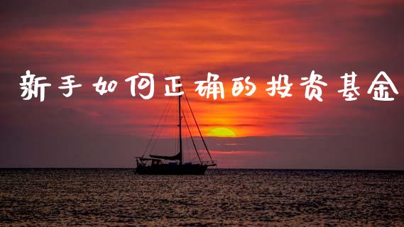 新手如何正确的投资基金_https://www.lansai.wang_理财百科_第1张