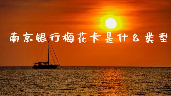 南京银行梅花卡是什么类型_https://www.lansai.wang_期货学院_第1张