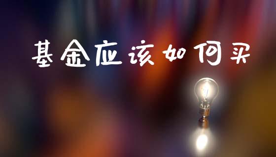 基金应该如何买_https://www.lansai.wang_基金理财_第1张