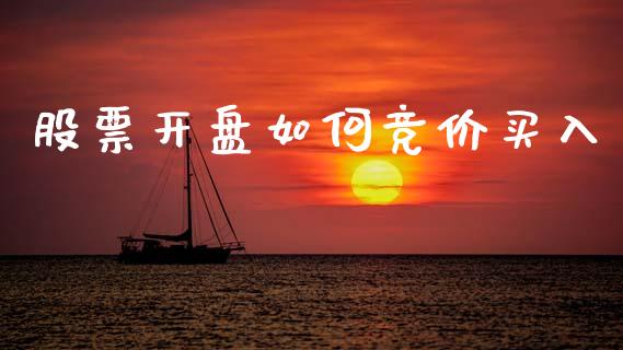 股票开盘如何竞价买入_https://www.lansai.wang_基金理财_第1张