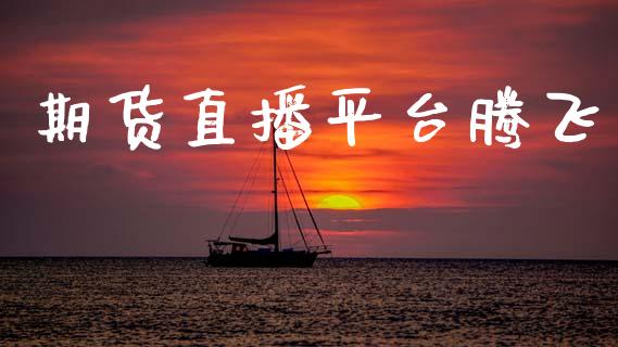 期货直播平台腾飞_https://www.lansai.wang_期货直播_第1张