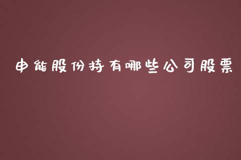 申能股份持有哪些公司股票_https://www.lansai.wang_期货行情_第1张