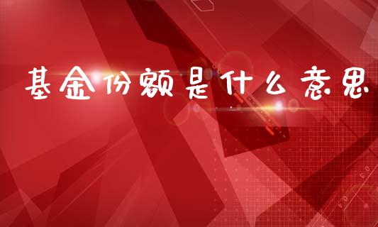 基金份额是什么意思_https://www.lansai.wang_基金理财_第1张