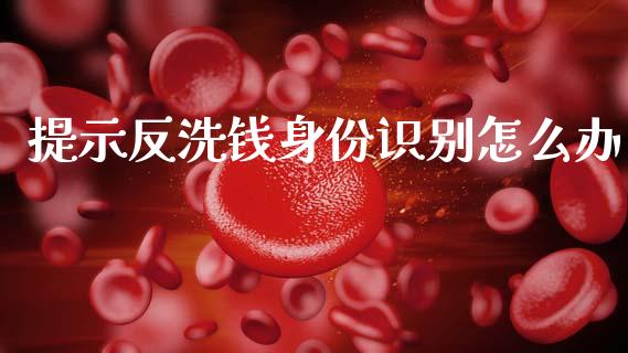 提示反洗钱身份识别怎么办_https://www.lansai.wang_期货品种_第1张