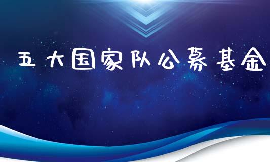 五大国家队公募基金_https://www.lansai.wang_基金理财_第1张