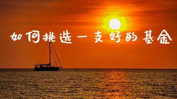 如何挑选一支好的基金_https://www.lansai.wang_未分类_第1张