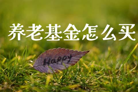 养老基金怎么买_https://www.lansai.wang_基金理财_第1张
