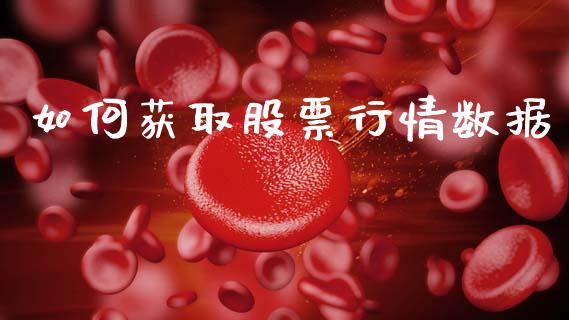 如何获取股票行情数据_https://www.lansai.wang_股票知识_第1张