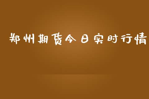 郑州期货今日实时行情_https://www.lansai.wang_期货资讯_第1张