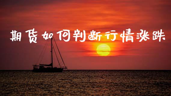 期货如何判断行情涨跌_https://www.lansai.wang_期货行情_第1张