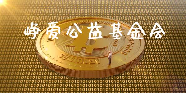 峥爱公益基金会_https://www.lansai.wang_理财百科_第1张