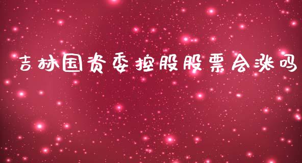 吉林国资委控股股票会涨吗_https://www.lansai.wang_期货行情_第1张