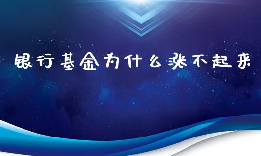 银行基金为什么涨不起来_https://www.lansai.wang_理财百科_第1张