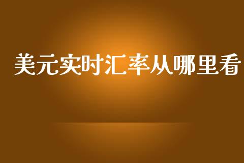 美元实时汇率从哪里看_https://www.lansai.wang_期货直播_第1张