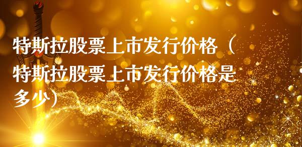 特斯拉股票上市发行价格（特斯拉股票上市发行价格是多少）_https://www.lansai.wang_股票问答_第1张