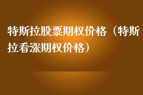 特斯拉股票期权价格（特斯拉看涨期权价格）_https://www.lansai.wang_股票知识_第1张
