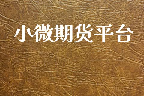 小微期货平台_https://www.lansai.wang_期货资讯_第1张