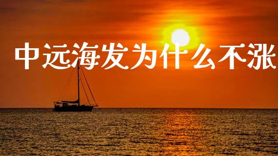 中远海发为什么不涨_https://www.lansai.wang_期货直播_第1张