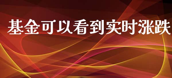基金可以看到实时涨跌_https://www.lansai.wang_基金理财_第1张