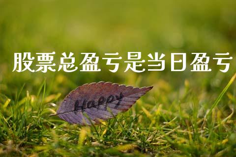 股票总盈亏是当日盈亏_https://www.lansai.wang_基金理财_第1张