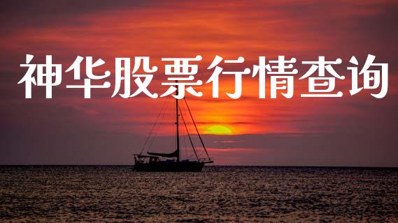 神华股票行情查询_https://www.lansai.wang_股票知识_第1张