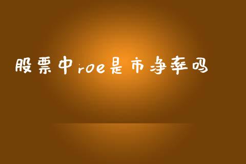 股票中roe是市净率吗_https://www.lansai.wang_期货行情_第1张