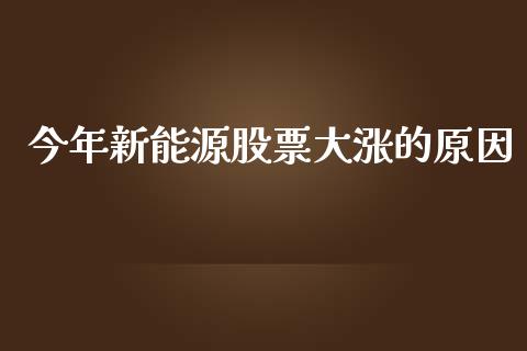 今年新能源股票大涨的原因_https://www.lansai.wang_股票知识_第1张