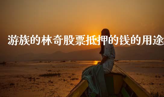 游族的林奇股票抵押的钱的用途_https://www.lansai.wang_期货行情_第1张