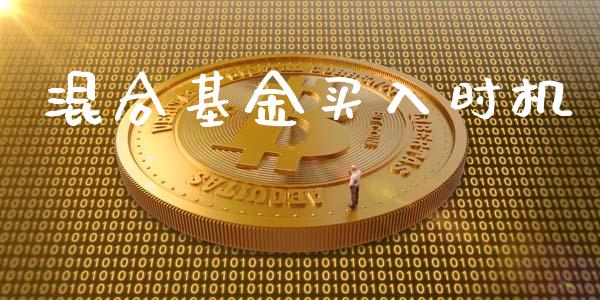 混合基金买入时机_https://www.lansai.wang_基金理财_第1张