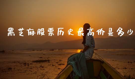 黑芝麻股票历史最高价是多少_https://www.lansai.wang_期货行情_第1张