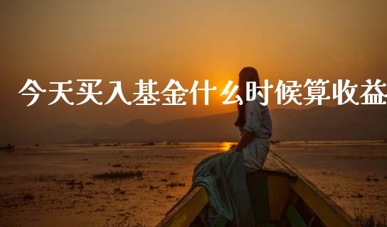 今天买入基金什么时候算收益_https://www.lansai.wang_基金理财_第1张