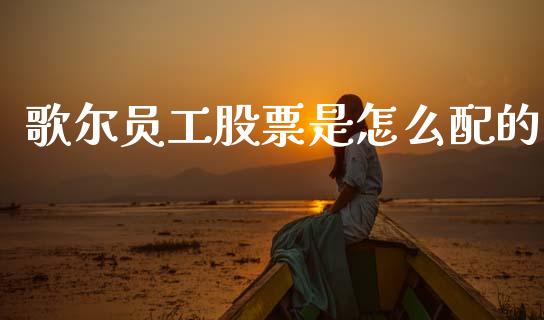 歌尔员工股票是怎么配的_https://www.lansai.wang_基金理财_第1张