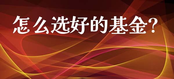 怎么选好的基金?_https://www.lansai.wang_基金理财_第1张