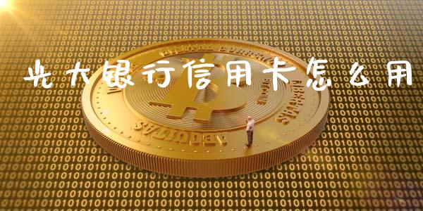 光大银行信用卡怎么用_https://www.lansai.wang_理财百科_第1张