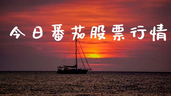 今日番茄股票行情_https://www.lansai.wang_股票知识_第1张