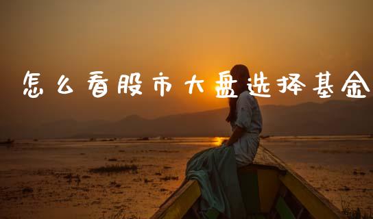 怎么看股市大盘选择基金_https://www.lansai.wang_基金理财_第1张