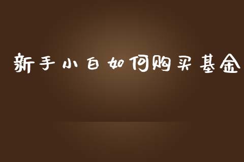新手小白如何购买基金_https://www.lansai.wang_基金理财_第1张