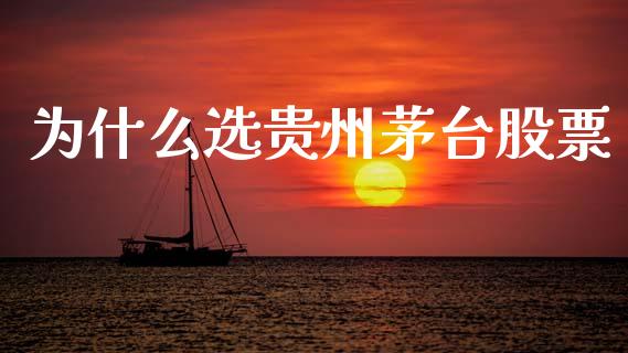 为什么选贵州茅台股票_https://www.lansai.wang_股票知识_第1张