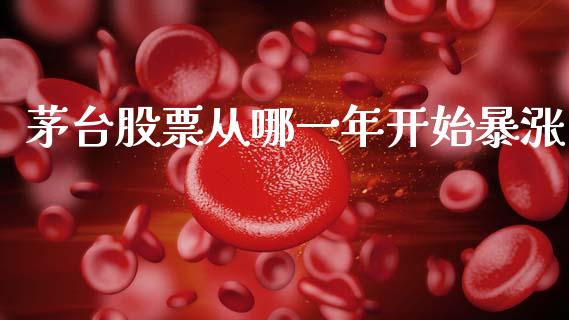 茅台股票从哪一年开始暴涨_https://www.lansai.wang_股票问答_第1张