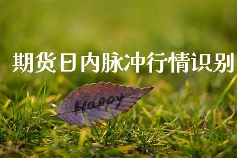 期货日内脉冲行情识别_https://www.lansai.wang_期货资讯_第1张