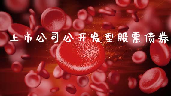 上市公司公开发型股票债券_https://www.lansai.wang_期货资讯_第1张