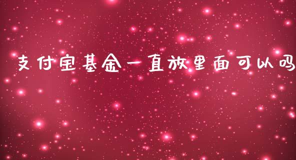支付宝基金一直放里面可以吗_https://www.lansai.wang_基金理财_第1张