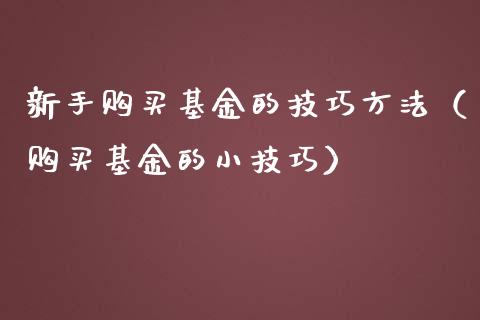 新手购买基金的技巧方法（购买基金的小技巧）_https://www.lansai.wang_基金理财_第1张