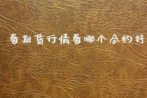 看期货行情看哪个合约好_https://www.lansai.wang_恒生指数_第1张