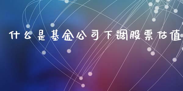 什么是基金公司下调股票估值_https://www.lansai.wang_基金理财_第1张